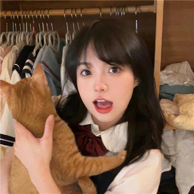 圣鹿之死